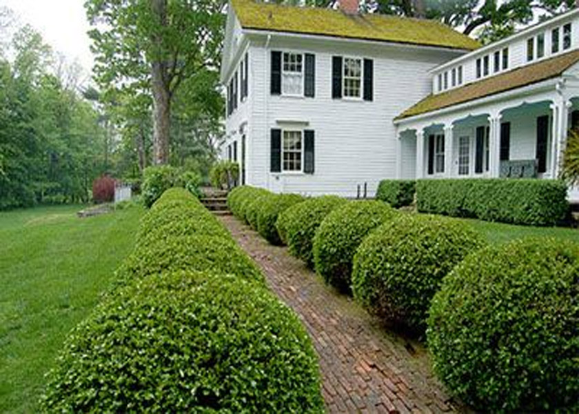 CÂY BỤI-HOA-SÂN VƯỜN